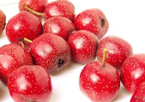 Extrato de frutas de espinheiro
