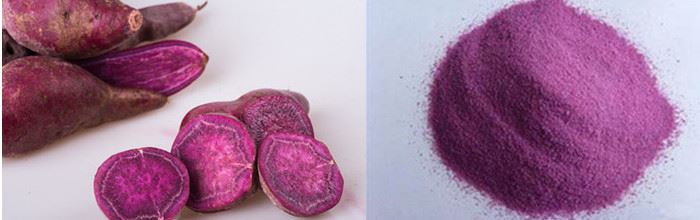 Purple sweet potato& powder