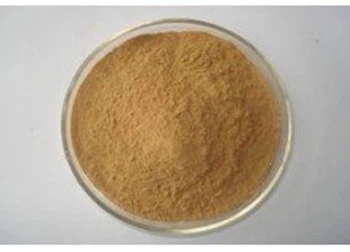 curcumin extract powder