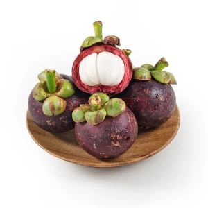 Mangosteen Extract Mangosteen Juice Mangosteen Powder Mangosteen Capsule Mangosteen Tea