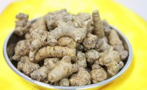 Extrato de Notoginseng