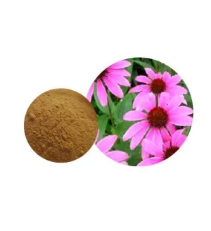 Extrato de Coneflower