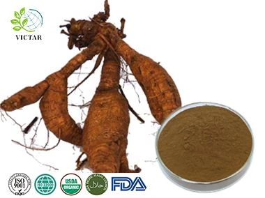 Extrato de Pueraria