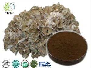 Extrato de maitake