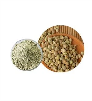 Proteína Orgânica de Cânhamo