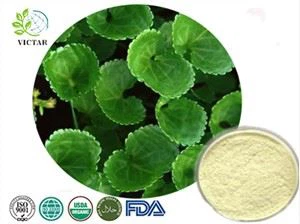 extrato de centella asiática em pó