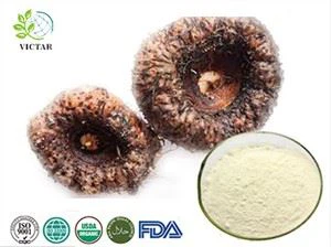 Konjac glucomanano