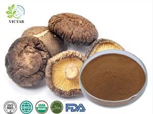 Extrato de cogumelo shitake