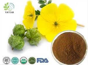 Extrato de Tribulus Terrestris